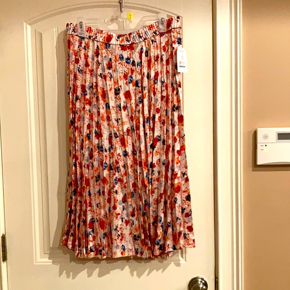 Pleated, elastic waste, long skirt…size large.